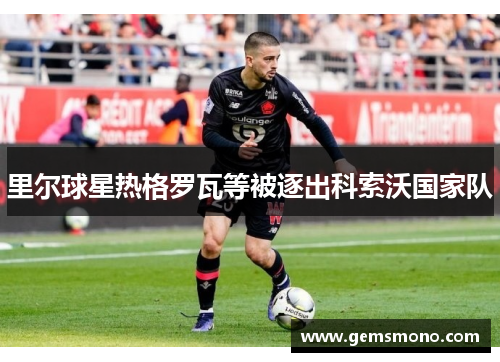 里尔球星热格罗瓦等被逐出科索沃国家队
